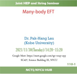 Many-body EFT