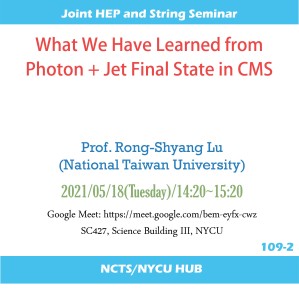 What We Have Learned from Photon + Jet Final State in CMS